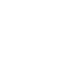 eeicon1